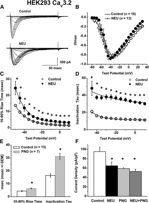 FIG. 1. NEU and PNG modulate recombinant human CaV3.2 channels. A: Traces represent families of T-currents evoked in representative HEK-293 cells in control conditions (top panel) and after incubation of 1.5 units/mL NEU at 37°C for 3 h (lower panel) by voltage steps from –90 mV (Vh) to Vt from −80 through −20 mV in 5-mV increments. Bars indicate calibration. B: Average normalized I-V curves (current/maximum current, I/Imax) are shown in HEK-293 cells in control conditions (n = 18) and after incubations of NEU (n = 13). C and D: We measured time-dependent activation (10–90% rise time [C]) and inactivation τ (single exponential fit of decaying portion of the current waveforms [D]) from I-V curves in HEK-293 cells (B) over the range of test potentials from −50 mV to 10 mV. There are differences in up to twofold slower times between the control and NEU groups at each tested potential. *Significance of P < 0.05. E: Bars represent 10–90% current activation rise times and current inactivation τ (Vh = −90 mV, Vt = −30 mV) measured in control cells (n = 13) and cells incubated with PNG (20 units/mL at 37°C for 12 h) (n = 7). Note that PNG-treated cells had slower activation and inactivation kinetics. *Significance of P < 0.01. F: Bar graphs depict peak current density (Vh = −90 mV, Vt = −30 mV) measured in multiple HEK-293 cells in control conditions (n = 20) and cells after incubation of NEU alone (n = 18), PNG alone (n = 7), and combined PNG and NEU (n = 11). Note that all three treatments significantly decreased peak current density compared with control cells: control 95 ± 10 (open bar, n = 20), NEU 65 ± 8 (n = 18, P < 0.01), PNG 59 ± 2 (n = 7, P < 0.01), and NEU plus PNG 53 ± 5 (n = 11, P < 0.01). *Significance of P < 0.05. Vertical bars in all panels represent SEM from multiple determinations.