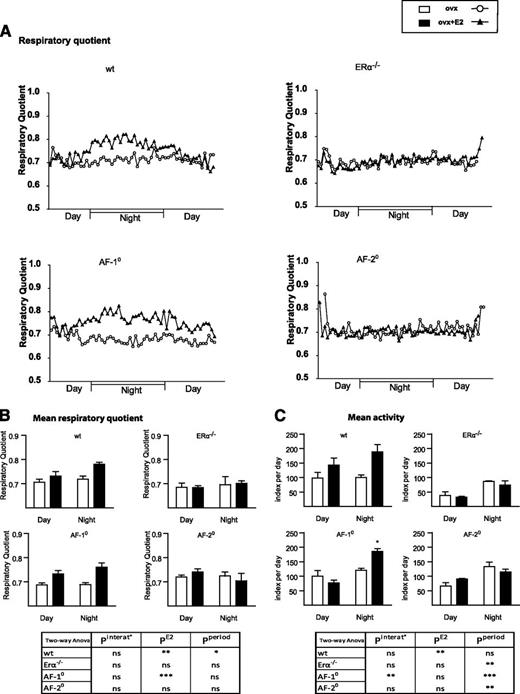 FIG. 5. Exogenous E2 enhances energy expenditure in ERαAF-1°, but not ERαAF-2°, ovariectomized female mice. Four-week-old wt, ERα −/−, ERαAF-1°, and ERαAF-2° female mice were ovariectomized, received either 17β-estradiol (ovx+E2) or placebo (ovx) subcutaneous administration for a 3-month period, and were concomitantly fed with HFD. A: Daily profile of respiratory quotient measured in metabolic chambers. B: Mean values of respiratory quotient in each group according to the day (light) and night (dark) periods. C: Total activity measured in metabolic chambers during the day (light) and night (dark) periods. Data are means ± SEM (n = 5–6 per group). Two-way ANOVA statistical analyses: *P < 0.05, **P < 0.01, and ***P < 0.001.