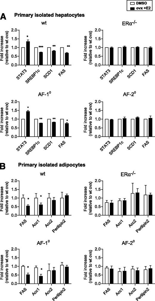 FIG. 8. Regulation of gene expression in isolated hepatocytes and mature adipocytes requires ERαAF-2, but not ERαAF-1, activation. Cells were isolated from 10-week-old wt, ERα−/−, ERαAF-1°, and ERαAF-2° mice, previously ovariectomized at 4 weeks of age. These cells were cultured for 24 h with 17β-estradiol (10−8 mol/L) or vehicle (DMSO). A: Relative gene expression of Stat3, Srebp-1c, Scd1, and Fas in primary isolated hepatocytes. B: Relative gene expression of Fas, Acc-1, Acc-2, and perilipin in primary isolated mature adipocytes. Data are means ± SEM (n = 3–4 individual animals per group from three separate experiments). Student t test statistical analyses: *P < 0.05, **P < 0.01, and ***P < 0.001 for cells stimulated with E2 vs. vehicle.