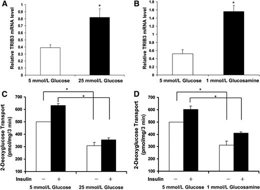 FIG. 5. Induction of TRIB3 by high glucose and glucosamine is accompanied with decreased glucose transport rate. TRIB3 mRNA levels of L6 myotubes cultured in medium with or without presence of 25 mmol/L high glucose (A) or 1 mmol/L glucosamine (B). C: Basal and insulin-stimulated glucose rate of L6 myotubes cultured in 5 mmol/L or 25 mmol/L glucose medium for 24 h. D: Basal and insulin-stimulated glucose rate of L6 myotubes cultured in 5 mmol/L glucose medium, with or without presence of 1 mmol/L glucosamine, for 24 h. Results were from three to six repeated experiments and are expressed as means ± SD. *P < 0.05.
