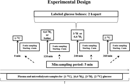 FIG. 1. Experimental design showing the sequence of tracer glucose boluses and sampling intervals. Subjects 1–4 received [1-13C], [6,6-2H2], [3-3H], and [2-13C] glucose, whereas subjects 5–8 received [1-13C] glucose, saline, [6,6-2H2] glucose, and [2-13C] glucose.
