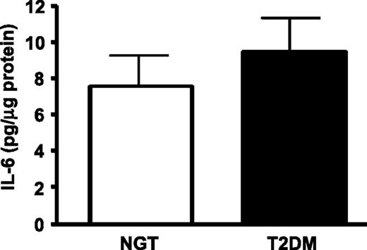 FIG. 1. IL-6 secretion from cultured skeletal muscle cells derived from normal glucose tolerant (NGT) (n = 10) subjects and subjects with type 2 diabetes (T2DM) (n = 10). All data are mean ± SEM. P < 0.05.