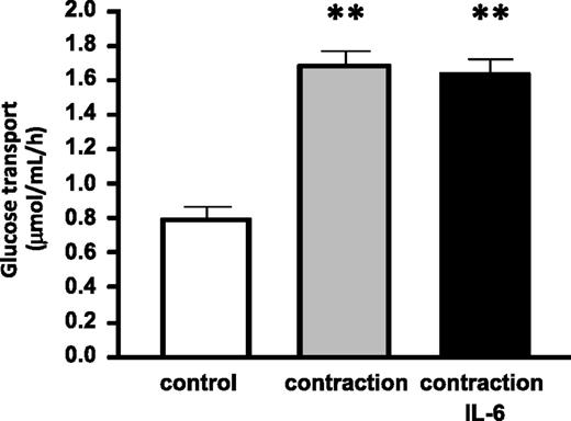 FIG. 6. Effect IL-6 or muscle contraction on glucose transport. EDL muscle was incubated in the absence (basal control; n = 7) or presence of 120 ng/mL mouse IL-6 or forced to contract in vitro in the absence or presence of 120 ng/mL mouse IL-6 (n = 11 for each). **P < 0.01 relative to basal.