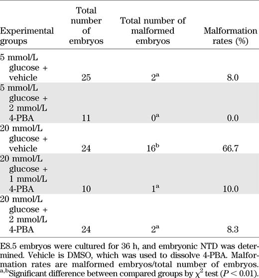 High glucose–induced NTD ameliorated by 4-PBA