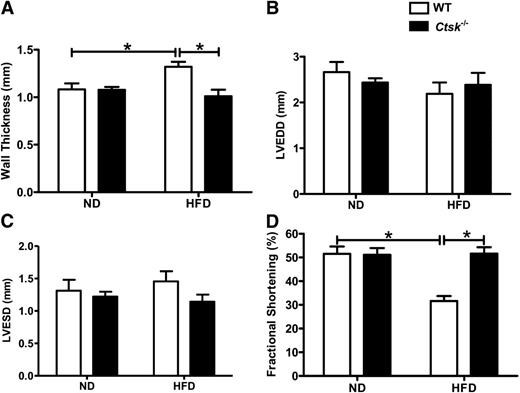 FIG. 2. Echocardiographic features in wild-type (WT) and cathepsin K knockout mice fed normal diet or high-fat diet. A: Left ventricular wall thickness. B: LVEDD. C: LVESD. D: Fraction shortening [(LVEDD − LVESD) / LVEDD × 100]. Mean ± SEM, n = 6–7 mice per group, *P < 0.05 between the notated groups.