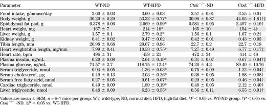 General features of wild-type and cathepsin K knockout mice after 20 weeks of a normal diet or a high-fat diet
