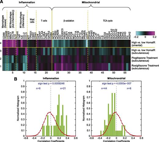 FIG. 3. A: Heat map showing the expression of the literature-curated inflammation and mitochondrial function genes in the RYGB and peroxisome proliferator–activated receptor γ (PPARγ) profiling experiments. As in Fig. 2, the data shown are the average of log10 of the ratio of gene expression between the high HOMA-IR patient group and the low HOMA-IR patient group for RYGB cohort, and the average of log10 of the ratio of gene expression for patients receiving PPARγ treatments and those without PPARγ treatment for the PPARγ study cohort. B: Bar charts showing the evenness of the distribution of correlation coefficients for the relationships between expression of inflammation genes (left) and WBC count, and for the relationships between expression of mitochondrial function genes (right) and WBC count. The number of genes in each bin in the raw histogram is divided by the total number of genes in all bins to give the normalized histogram. The red curves are the distribution of correlation coefficients for the relationships between expression of all 44 K array genes and WBC count. (A high-quality digital representation of this figure is available in the online issue.)