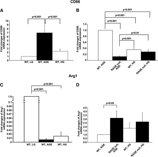 FIG. 7. RAGE modulates macrophage polarization in BMDMs: effect of glucose and AGE. BMDMs were retrieved from the indicated mice and incubated for 7 days with low physiologic levels of glucose (5.5 mmol/L d-glucose) or high glucose (diabetes-relevant) (25 mmol/L d-glucose). In other studies, BMDMs were incubated in physiologic levels of glucose (5.5 mmol/L d-glucose) and CML-HSA (100 µg/mL) for 48 h. Macrophages were retrieved and subjected to real-time quantitative PCR. A and C: The effects of glucose and AGEs on WT BMDM expression of CD86 and Arg1 (respectively) are shown. WT low-glucose incubated BMDMs were set as reference. B and D: The effects of RAGE deletion on glucose and CML-HSA treatment on expression of CD86 and Arg1 (respectively) are shown. WT macrophages exposed to AGE (CML-HSA) are set as the reference. This experiment was repeated for a total of three independent experiments.