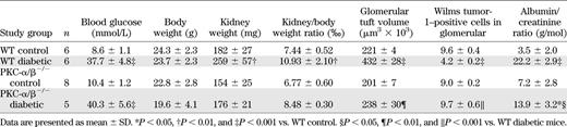 Blood glucose levels and body/kidney ratio as well as glomerular changes and proteinuria levels in WT and PKC-α/β−/− mice after 8 weeks of diabetes