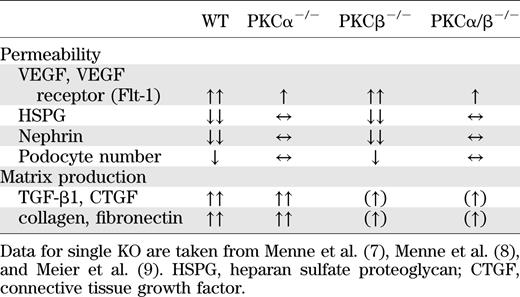Expression of different proteins in diabetic WT, PKCα−/−, PKCβ−/−, and PKCα/β−/−