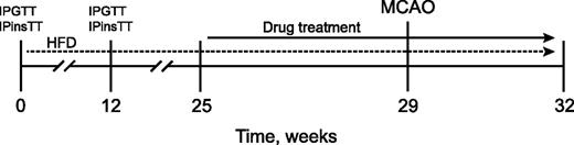 FIG. 1. Experimental design and drug-treatment paradigm.