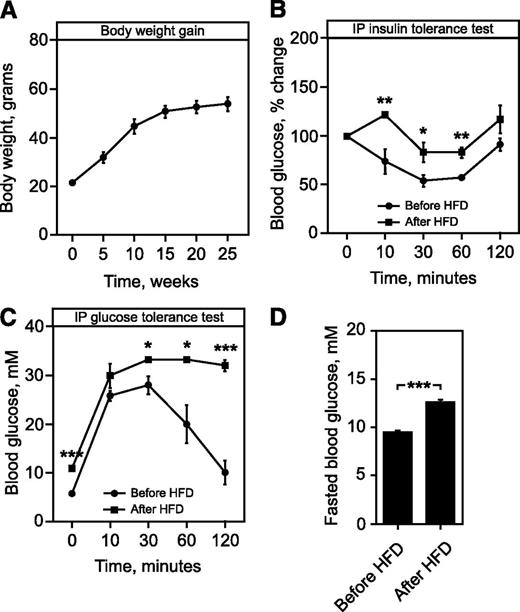 FIG. 2. Metabolic phenotype of HFD feeding. A: Body weight gain after HFD treatment. B: IPGTT before and 12 weeks into the HFD. C: IPinsTT before and 12 weeks into the HFD. D: Fasted blood glucose levels before and 12 weeks into the HFD. Data are presented as means ± SEM. *P < 0.05, **P < 0.01, and ***P < 0.001 for a chance difference vs. controls using the Student unpaired t test.