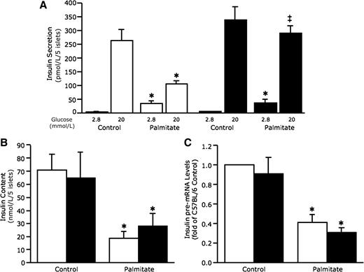 FIG. 2. Neprilysin-deficient islets are protected against palmitate-induced reductions in GSIS. Insulin secretion in response to 2.8 and 20 mmol/L glucose (A) (n = 5), islet insulin content (B) (n = 5), and insulin pre-mRNA levels (C) (n = 9) from C57BL/6 and C57BL/6.NEP−/− islets after 48-h culture in the absence or presence of 1 mmol/L palmitate. White bars, C57BL/6 islets; black bars, C57BL/6.NEP−/− islets. Data are means ± SEM. *P < 0.05 vs. control; ‡P = 0.0001 vs. C57BL/6.