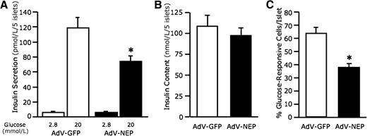 FIG. 6. Adenovirus-mediated upregulation of neprilysin recapitulates the impairment in GSIS and calcium influx due to palmitate exposure. Insulin secretion in response to 2.8 and 20 mmol/L glucose (A) (n = 8) and islet insulin content (B) (n = 8) from C57BL/6 islets after infection with either AdV-GFP or AdV-NEP and culture for 48 h in the absence of palmitate. Percentage of 20 mmol/L glucose-responsive cells per AdV-GFP or AdV-NEP islet after 48-h culture in the absence of 1 mmol/L palmitate (C) (n = 13–18 islets/group), determined as increased Rhod-3 emission intensity when the perifusion solution was switched from 2.8 to 20 mmol/L glucose. White bars, AdV-GFP; black bars, AdV-NEP. Data are means ± SEM. *P < 0.02 vs. AdV-GFP.