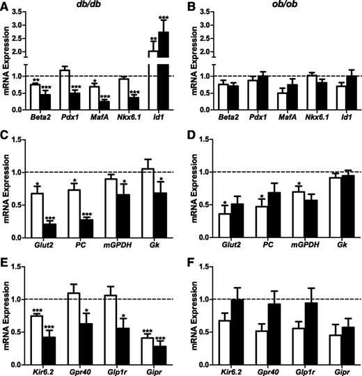 FIG. 2. Changes in mRNA expression of islet-associated transcription factors and genes that optimize β-cell function in islets of db/db and ob/ob mice at 6 and 16 weeks of age. Islets were isolated from 9 to 10 C57BL/KsJ control and 8 db/db mice at 6 weeks of age, 13 to 16 C57BL/KsJ control and 9 to 12 db/db mice at 16 weeks of age, 6 C57BL/6J control and 6 ob/ob mice at 6 weeks of age, and 4 to 5 C57BL/6J control and 7 ob/ob mice at 16 weeks of age. Total RNA was extracted, reverse-transcribed, and analyzed by real-time RT-PCR. mRNA levels were expressed as fold change of the levels in respective age-matched controls (represented by the dashed line). Shown are changes for the indicated genes in islets of db/db (A, C, E) and ob/ob (B, D, F) mice at 6 (white bars) and 16 (black bars) weeks of age. All results are mean ± SEM. *P < 0.05, **P < 0.01, ***P < 0.001 genotype effect in each age group.