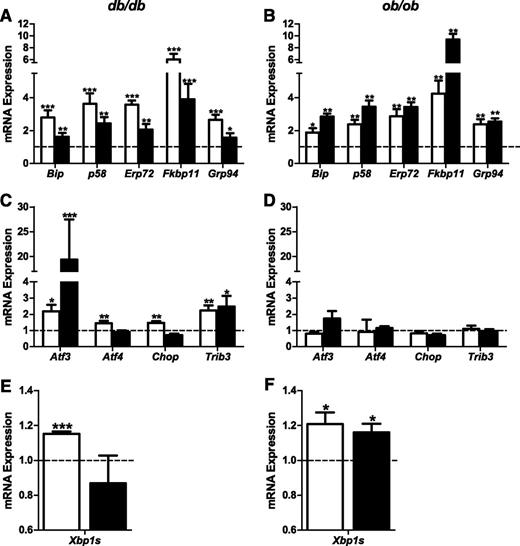 FIG. 3. Changes in mRNA expression of UPR genes in islets of db/db and ob/ob mice at 6 and 16 weeks of age. Islets were isolated from 9 to 10 C57BL/KsJ control and 8 db/db mice at 6 weeks of age, 13 to 16 C57BL/KsJ control and 9 to 12 db/db mice at 16 weeks of age, 6 C57BL/6J control and 6 ob/ob mice at 6 weeks of age, and 4 to 5 C57BL/6J control and 7 ob/ob mice at 16 weeks of age. Shown are changes for the indicated genes in islets of db/db (A, C, E) and ob/ob (B, D, F) mice at 6 (white bars) and 16 (black bars) weeks of age. A–D: Total RNA was extracted, reverse-transcribed, and analyzed by real-time RT-PCR. mRNA levels were expressed as fold change of the levels in respective age-matched controls (represented by the dashed line). E and F: Xbp1 cDNA was amplified by PCR and digested with PstI, which cuts unprocessed Xbp1 into fragments. Processed (activated) Xbp1 lacks the restriction site and remains intact. Processed (intact) and unprocessed (cut) Xbp1 were quantified by densitometry. The value obtained for processed Xbp1 was expressed as a ratio of the total (processed + unprocessed) Xbp1 mRNA level for each sample. These ratios are expressed as fold change of the ratio in respective age-matched controls. All results are mean ± SEM. *P < 0.05, **P < 0.01, ***P < 0.001 genotype effect in each age group.