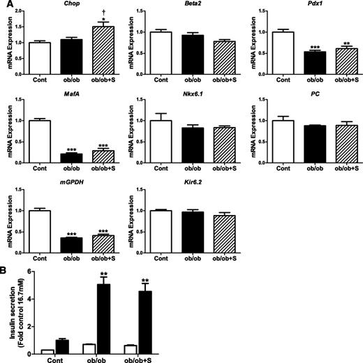 FIG. 5. Effect of enhancing signaling downstream of PERK/eIF2α on the changes in gene expression and insulin secretion in islets of ob/ob mice. A: Islets isolated from ob/ob and age-matched control mice were cultured in the absence (control [cont], white bars; ob/ob, black bars) or presence (ob/ob+S, striped bars) of salubrinal (75 μmol/L) for 24 h. Total RNA was extracted, reverse-transcribed, and analyzed by real-time RT-PCR. mRNA levels were expressed as fold change of the level in control islets. n = 3–6 in each group. B: Batches of islets were cultured in Krebs-Ringer HEPES buffer containing 0.1% BSA and 2.8 mmol/L (white bars) or 16.7 mmol/L glucose (black bars) for 1 h. Insulin was measured in an aliquot of the buffer by radioimmunoassay. Insulin secretion was expressed as fold change of the level in control islets cultured in 16.7 mmol/L glucose. n = 3–6 in each group. All results are mean ± SEM. *P < 0.05, **P < 0.01, ***P < 0.001 genotype effect; †P < 0.05 salubrinal treatment effect in ob/ob mouse islets.