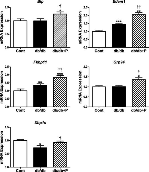 FIG. 7. Effect of chemical chaperone treatment on the expression of adaptive UPR genes in islets of db/db mice. Islets isolated from diabetic db/db and age-matched nondiabetic control (cont) mice (12–14 weeks of age) were cultured in the absence (control, white bars; db/db, black bars) or presence (db/db, striped bars) of the chemical chaperone PBA (2.5 mmol/L) for 24 h. Total RNA was extracted, reverse-transcribed, and analyzed by real-time RT-PCR. mRNA levels were expressed as fold-change of the level in control islets. Xbp1 splicing was analyzed and expressed as described in Fig. 3. All results are mean ± SEM. n = 7 in each group. *P < 0.05, **P < 0.01, ***P < 0.001 genotype effect; †P < 0.05, ††P < 0.01 PBA treatment effect in db/db mouse islets.