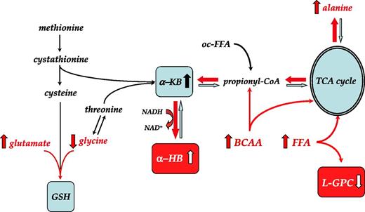 FIG. 3. Reconstruction of the metabolic pathway featuring α-HB and L-GPC. Unmeasured metabolites are in italic, and statistically significant changes between progressors and nonprogressors are indicated in red. α-KB, α-ketobutyrate; GSH, glutathione; oc-FFA, odd-chain FFA. See text for further explanation.