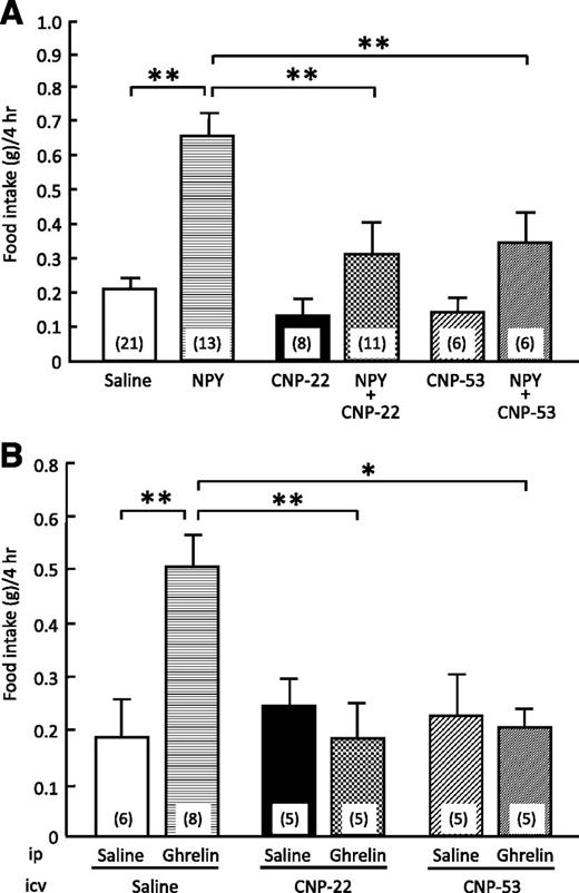 FIG. 2. Effects of CNP-22 and CNP-53 on food intake induced by NPY and ghrelin. A: Effects of intracerebroventricular administration of CNP-22 (4.5 nmol/mouse) and CNP-53 (1.5 nmol/mouse) on NPY-induced (5 nmol/mouse, intracerebroventricular) food intake in mice. Food intake was observed for 4 h after coadministration of NPY and CNP. B: Effects of intracerebroventricular administration of CNP-22 (4.5 nmol/mouse) and CNP-53 (1.5 nmol/mouse) on ghrelin-induced (100 nmol/kg, intraperitoneal) food intake in mice. Food intake was observed for 4 h after coadministration of ghrelin and CNP. Data represent mean ± SEM. The number of mice is given in parentheses. Significant differences: *P < 0.05, **P < 0.01.