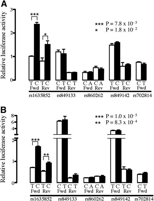 FIG. 2. rs1635852 alleles display differential transcriptional activity. A: Enhancer activity was tested in 832/13 cells for the type 2 diabetes risk (white bars) and nonrisk (black bars) alleles of five SNPs in candidate regulatory regions in forward (Fwd) and reverse (Rev) orientations with respect to JAZF1. Significant allele-specific enhancer activity was observed for rs1635852. The rs1635852 risk allele T shows less transcriptional activity than the nonrisk allele C in both orientations with respect to a minimal promoter vector. B: rs1635852 risk allele displays similar decreased transcriptional activity in MIN6 cells. Error bars represent SE of 2–4 independent clones for each allele. Results are expressed as fold change compared with empty vector control. P values were calculated by a two-sided t test.