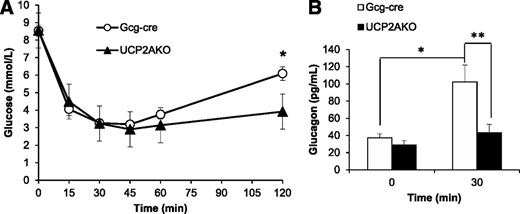 FIG. 2. α-Cell UCP2 deletion reduces glucagon secretion in vivo. A: Blood glucose during an intraperitoneal insulin tolerance test (ipITT). *P < 0.05. N = 12–15. B: Plasma glucagon levels at 0 and 30 min during the ipITT. N = 6–8 mice/group. *P < 0.05; **P < 0.01.