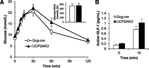 FIG. 3. UCP2AKO mice display normal glucose tolerance and GLP-1 secretion. A and B: Oral glucose tolerance test; mice were gavaged with 3 g/kg glucose after a 4-h fast (N = 7–8 mice/genotype). Blood glucose (A) and plasma active GLP-1 (B) were measured. The inset panel in A shows the incremental area under the glucose curve (iAUC).
