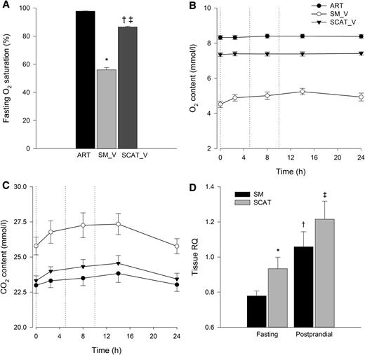 FIG. 1. A–D: Fasting and postprandial O2 saturation and content and CO2 content of arterial and venous blood. A: Fasting O2 saturation (%) in arterial (ART), SM venous (SM_V), and SCAT venous (SCAT_V) blood. *P < 0.001 arterial vs. SM venous; †P < 0.001 arterial vs. SCAT venous; ‡P < 0.001 SM venous vs. SCAT venous. B: O2 content (mmol/L) in arterial, SM venous, and SCAT venous blood over a 24-h period. Meals of similar energy and macronutrient composition were fed at 0, 5, and 10 h (dotted lines). P < 0.001 arterial vs. SM venous; P < 0.001 arterial vs. SCAT venous; P < 0.001 SM venous vs. SCAT venous, repeated measures over time. There was an increase in SM venous O2 content (mmol/L) over time, P = 0.029. C: CO2 content (mmol/L) in arterial, SM venous, and SCAT venous blood over 24 h. Meals of similar energy and macronutrient composition were fed at 0, 5, and 10 h (dotted lines). P < 0.05 arterial vs. SM venous; P < 0.05 SM venous vs. SCAT venous; P < 0.05 arterial vs. SCAT venous, repeated measures over time. There was an increase in the CO2 content (mmol/L) over time in arterial, P = 0.036; SM venous, P = 0.003; and SCAT venous, P = 0.005. D: RQ for SM and SCAT in the fasting and postprandial state. *P = 0.048 fasting SM RQ vs. SCAT RQ; †P < 0.001 fasting RQ vs. postprandial RQ for SM; ‡P = 0.015 fasting RQ vs. postprandial RQ for SCAT; P = NS, postprandial SM vs. postprandial SCAT RQ.