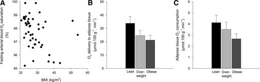 FIG. 2. A–C: Fasting arterial blood saturation, O2 delivery, and O2 consumption in relation to obesity. A: The correlation between fasting arterial blood O2 saturation (%) and BMI was rs = −0.43, P = 0.002 (n = 49). B: O2 delivery to AT (µmol ⋅ 100 g−1 ⋅ min−1) in lean (BMI <25 kg/m2 [n = 20]), overweight (BMI >25 and <30 kg/m2 [n = 14]), and obese (BMI >30 kg/m2 [n = 14]) subjects’ blood. Trend (linear using polynomial contrasts) across groups P = 0.05. C: AT O2 consumption (µmol ⋅ 100 g−1 ⋅ min−1) in lean (BMI <25 kg/m2 [n = 20]), overweight (BMI >25 and <30 kg/m2 [n = 14]), and obese (BMI >30 kg/m2 [n = 14]) subjects’ blood. Trend (linear using polynomial contrasts) across groups P = 0.099.