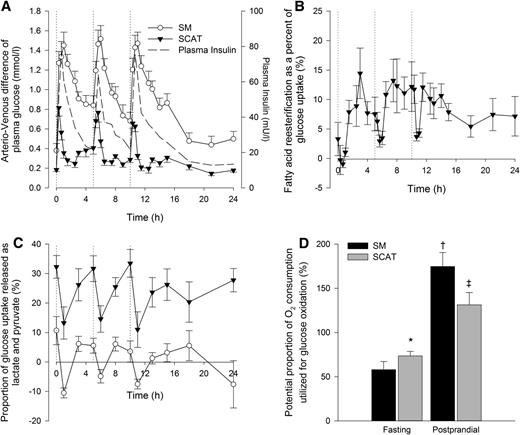 FIG. 3. A–D: Fasting and postprandial glucose metabolism in SCAT and SM. A: Uptake of plasma glucose (mmol/L) across SM and SCAT during fasting and postprandial periods. Plasma insulin concentrations (mU/L) during fasting and postprandial periods. Meals of similar energy and macronutrient composition were fed at 0, 5, and 10 h (dotted lines). For both SM and SCAT, there was an increase in glucose uptake with feeding (P < 0.001, repeated measures over time). The uptake of glucose was significantly greater for SM than SCAT (P < 0.001, repeated measures, time × site interaction). Plasma insulin concentrations increased with feeding (P < 0.001, repeated measures over time). B: FA reesterification as a proportion of glucose uptake in SCAT (P < 0.001, repeated measures over time). C: Proportion of glucose that is taken up into SM and SCAT released as lactate and pyruvate over time (P < 0.001, repeated measures over time for both sites, and P < 0.001, repeated measures between sites; no time × site interaction). D: The potential proportion of O2 consumption used for glucose oxidation in SM and SCAT in the fasting and postprandial state. *P = 0.045 fasting SM vs. SCAT; †‡P < 0.001 fasting vs. postprandial for both tissues.