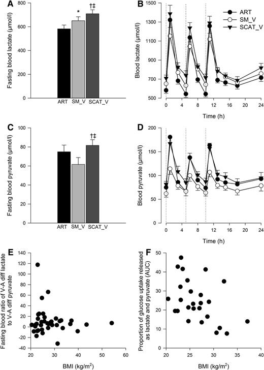 FIG. 4. A–F: Fasting (A and C) and postprandial (B and D) concentrations of lactate and pyruvate in arterial (ART), SM venous (SM_V), and SCAT venous (SCAT_V) blood and associations with BMI (kg/m2) (E and F). A: Fasting blood lactate concentrations (μmol/L) in arterial, SM venous, and SCAT venous. *P = 0.004 arterial vs. SM venous; †P < 0.001, arterial vs. SCAT venous; ‡P = 0.004, SM venous vs. SCAT venous. B: The postprandial concentrations (μmol/L) of lactate in arterial, SM venous, and SCAT venous blood. Meals of similar energy and macronutrient composition were fed at 0, 5, and 10 h (dotted lines); P < 0.001, repeated measures over time for all sites, and P < 0.001, time × site interaction for all sites. C: Fasting blood pyruvate concentrations (μmol/L) in arterial, SM venous, and SCAT venous; P = NS, arterial vs. SM venous; †P = 0.01, arterial vs. SCAT venous; ‡P < 0.001, SM venous vs. SCAT venous. D: The postprandial concentrations (μmol/L) of pyruvate in arterial, SM venous, and SCAT venous blood. Meals of similar energy and macronutrient composition were fed at 0, 5, and 10 h (dotted lines). P < 0.001, repeated measures over time for all sites, and P < 0.001, time × site interaction for all sites. E: The correlation for the (veno–arterio difference lactate) / (veno–arterio difference pyruvate) and BMI (kg/m2) was rs = 0.11; P = NS. F: The correlation between the area under the curve for the proportion of glucose taken up into AT over 24 h released as lactate and pyruvate and BMI (kg/m2) was rs = −0.44; P = 0.016.