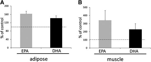FIG. 1. FO treatment increased adipose and muscle EPA and DHA. Adipose (A) and muscle (B) lipids were analyzed in biopsy samples before and after treatment with FO or placebo. There were no significant changes in the placebo-treated subjects, and data are expressed in relation to oleate, which is abundant in both tissues. The changes in EPA and DHA were significant (P < 0.05) compared with baseline and with placebo-treated subjects. Data are expressed as mean ± SEM.