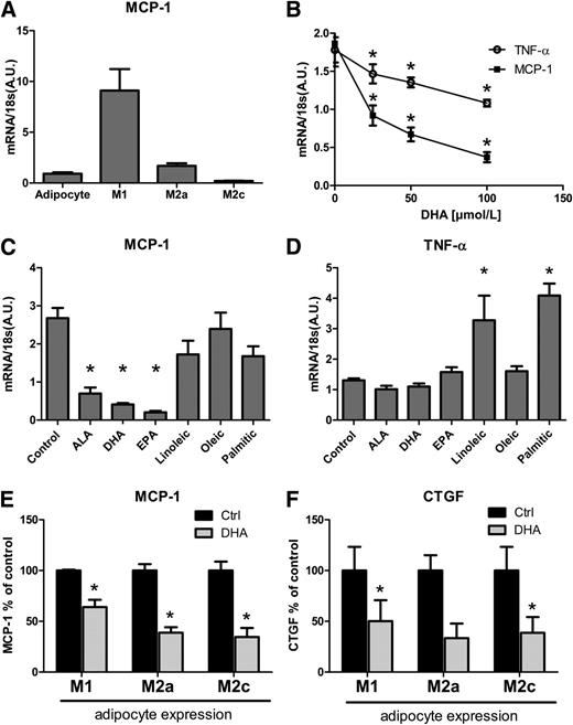 FIG. 5. Effects of DHA on adipocytes and macrophages in tissue culture. A: MCP-1 expression by adipocytes and polarized macrophages. B: Effects of the addition of increasing concentrations of DHA to TNF-α and MCP-1 expression in M1 macrophages. *P < 0.05 vs. MCP-1. The following lipids were conjugated to BSA and added at a concentration of 100 μmol/L to M1 macrophages in culture: ALA, DHA, EPA, and linoleic, oleic, and palmitic acids. After 24 h, cells were harvested followed by the measurement of expression of MCP-1 (C) and TNF-α (D). *P < 0.05 vs. control. DHA (100 μmol/L) was added to the coculture of adipocytes with polarized macrophages followed by measurement of expression of MCP-1 (E) and CTGF (F). *P < 0.05 vs. control. Data are expressed as mean ± SEM. A.U., arbitrary units.
