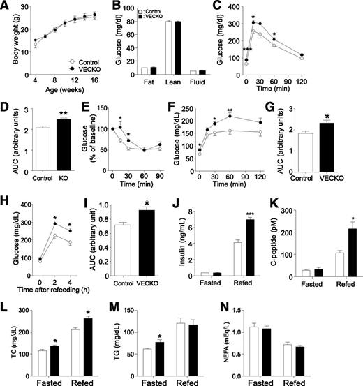 FIG. 1. Metabolic characterization of SD-fed mice. Body weight (A) and body composition (B) in 12-week-old SD-fed WT and VECKO mice (n = 8–10). Intraperitoneal glucose tolerance tests (C) and area under curve (AUC) (D) in 11-week-old SD-fed WT and VECKO mice after an 18-h fast (n = 7–10). E: Intraperitoneal insulin tolerance tests in 12-week-old mice after 2-h fast (n = 5–7). Glucose levels (F) and area under the curve (G) in pyruvate tolerance tests after 18-h fast. Glucose (H), area under the curve (I), insulin (J), C-peptide (K), total cholesterol (TC) (L), triglyceride (TG) (M), and nonesterified fatty acid (NEFA) (N) levels in 13-week-old mice fed an SD and fasted for 16 h without refeeding (0 h, fasted) or fasted for 16 h and then refed for 4 h (refed) (n = 5–7). *P < 0.05, **P < 0.01, ***P < 0.001 vs. WT.