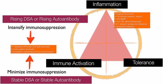FIG. 1. Interrelational balance between immune activation, inflammation, and tolerance and current favored approaches to modify inflammatory response in clinical islet transplantation. Perturbations in DSA or type 1 diabetes autoantibodies can potentially direct intensity of immunosuppression in a more precise manner than current empiric approaches, thereby lowering risk to patients. IBMIR, instant blood-mediated inflammatory reaction.