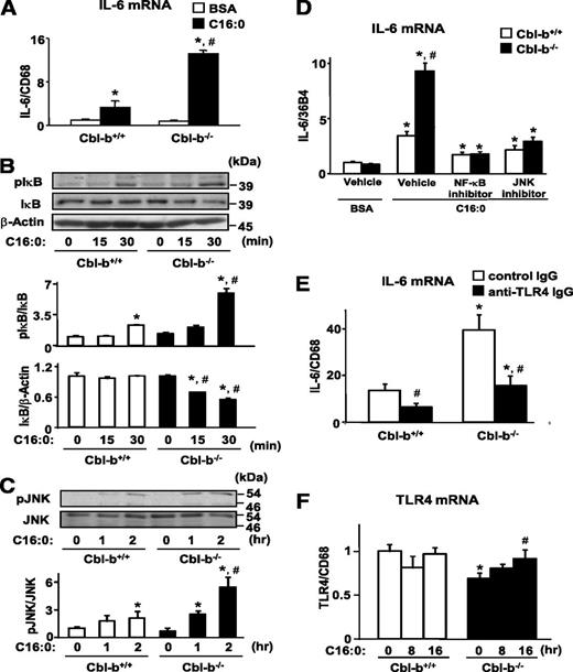 FIG. 3. Saturated FA-mediated NF-κB and JNK signaling in Cbl-b–deficient peritoneal macrophages. A: Peritoneal macrophages from 7- to- 9-week-old Cbl-b+/+ and Cbl-b−/− mice were treated with palmitate (C16:0) for 16 h, and total RNA was extracted from these peritoneal macrophages. The amounts of IL-6 and CD68 (internal standard) transcripts were determined by real-time RT-PCR. Data are mean ± SD (n = 3). *P < 0.05 and #P < 0.05 compared with BSA- and palmitate-treated Cbl-b+/+ peritoneal macrophages, respectively. B and C: Peritoneal macrophages from 7- to- 9-week-old Cbl-b+/+ and Cbl-b−/− mice were treated with palmitate for the indicated time points. Whole-cell lysates were subjected to immunoblotting (20 μg/lane) using antibodies against the indicated proteins. The results are from three independent experiments. Data are densitometric ratios of phosphorylated IκB to total IκB, total IκB to β-actin, or phosphorylated JNK to total JNK and represent the mean ± SD values of three mice. *P < 0.05 and #P < 0.05 compared with time 0 and Cbl-b+/+ peritoneal macrophages at the same time interval, respectively. D: Effects of IKK-2 inhibitor IV (500 nmol/L) or SP600125 (25 μmol/L) in DMSO (vehicle) on palmitate-induced IL-6 expression in Cbl-b+/+ and Cbl-b−/− peritoneal macrophages estimated by the measurement of IL-6 expression. Peritoneal macrophages were pretreated with these chemical inhibitors for 2 h before palmitate treatment. Data are mean ± SD (n = 3). *P < 0.05 and #P < 0.05 compared with BSA with DMSO and Cbl-b+/+ peritoneal macrophages, respectively. E: Effect of anti-TLR4/MD-2 IgG on palmitate-induced IL-6 mRNA expression in peritoneal macrophages was estimated by measuring IL-6 expression. Peritoneal macrophages were treated with anti-TLR4/MD-2 IgG or control IgG (18 μg/mL) for 2 h before treatment with palmitate. The amounts of IL-6 and CD68 (internal standard) transcripts were analyzed by real-time RT-PCR. Data are mean ± SD (n = 3). *P < 0.05 and #P < 0.05 compared with Cbl-b+/+ peritoneal macrophages and control IgG treatment, respectively. F: Peritoneal macrophages were treated with palmitate for 8 or 16 h and subjected to total RNA extraction. The amounts of TLR4 and CD68 (internal standard) transcripts were assessed by real-time RT-PCR. Data are mean ± SD (n = 3). *P < 0.05 and #P < 0.05 compared with Cbl-b+/+ peritoneal macrophages and Cbl-b−/− peritoneal macrophages without treatment with palmitate, respectively.
