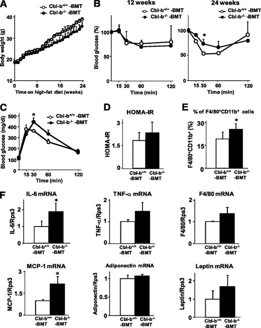 FIG. 6. Bone marrow-specific deletion of Cbl-b partially exaggerated long-term HFD-induced insulin resistance. A: Body weight of bone marrow-specific Cbl-b deficient (Cbl-b−/− BMT) and control (Cbl-b+/+ BMT) recipient mice fed the HFD was monitored for 24 weeks. Data are mean ± SD (n = 7). B: Cbl-b+/+ BMT and Cbl-b−/− BMT fed the HFD for 12 (left panel) or 24 weeks (right panel) were fasted for 12 h and then injected intraperitoneally with insulin at 0.75 mU/g body weight. Data are mean ± SD (12 weeks of HFD; Cbl-b+/+ BMT, n = 5; Cbl-b−/− BMT, n = 6. 24 weeks of HFD; n = 3). *P < 0.05 compared with Cbl-b+/+ BMT. C: Cbl-b+/+ BMT and Cbl-b−/− BMT fed HFD for 23 weeks were fasted for 12 h and then injected intraperitoneally with glucose at 2 mg/g body weight. Data are mean ± SD (n = 3). *P < 0.05 compared with Cbl-b+/+ BMT. D: HOMA-IR of Cbl-b+/+ BMT and Cbl-b−/− BMT mice fed the HFD for 24 weeks was calculated. Data are mean ± SD (n = 3). E: WAT of Cbl-b+/+ BMT and Cbl-b−/− BMT recipient mice fed the HFD for 24 weeks were subjected to flow cytometric analysis to determine the ratio of F4/80 and CD11b double-positive cells to total cells in stromal vascular fractions. Data are mean ± SD (Cbl-b+/+ BMT, n = 6; Cbl-b−/− BMT, n = 5). *P < 0.05 compared with Cbl-b+/+ BMT. F: The mRNA expression levels of IL-6, TNF-α, F4/80, MCP-1, adiponectin, and leptin in WAT of Cbl-b+/+ BMT and Cbl-b−/− BMT fed the HFD for 24 weeks, measured by real-time RT-PCR. Data are mean ± SD (n = 3). *P < 0.05 compared with Cbl-b+/+ BMT.