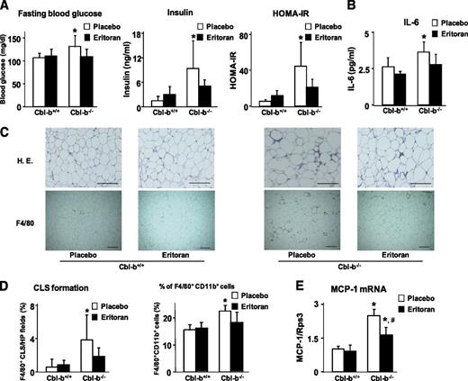 FIG. 7. Blockade of TLR4 by antagonist improved fasting blood glucose level and infiltration of macrophages into WAT in Cbl-b−/− mice. A: Cbl-b+/+ and Cbl-b−/− mice fed the HFD for 5 weeks were injected intraperitoneally with Eritoran (4 mg/kg body weight) or placebo three times every 24 h, and fasting blood glucose, serum insulin, and HOMA-IR were measured. Data are mean ± SD (n = 4). *P < 0.05 compared with placebo-treated Cbl-b+/+ mice. B: Concentrations are shown for serum IL-6 in Cbl-b+/+ and Cbl-b−/− mice injected with Eritoran or placebo, measured by ELISA. Data are mean ± SD (n = 4). *P < 0.05 compared with placebo-treated Cbl-b+/+ mice. C: The WAT of Cbl-b+/+ or Cbl-b−/− mice administrated Eritoran or placebo were stained with hematoxylin and eosin and subjected to immunohistochemistry for F4/80, a macrophage marker. Scale bar = 200 μm. D: The number of CLS was counted in 15 separate high-power fields in seven slides per mouse. Data are mean ± SD (n = 3). The proportions of F4/80 and CD11b double-positive cells to total cells in SV fractions were measured by flow cytometric analysis. Data are mean ± SD (n = 3). *P < 0.05 compared with placebo-treated Cbl-b+/+ mice. E: Expression of MCP-1 mRNA in WAT of Cbl-b+/+ or Cbl-b−/− mice treated with Eritoran or placebo was measured by real-time RT-PCR. Data are mean ± SD (n = 3). *P < 0.05 and #P < 0.05 compared with placebo-treated Cbl-b+/+ mice and Cbl-b−/− mice, respectively.