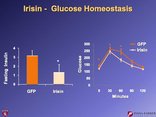 FIG. 13. Fasting insulin levels and glucose tolerance in mice receiving adenoviral vectors expressing FNDC5. For further details, see ref. 15. *P < 0.05.
