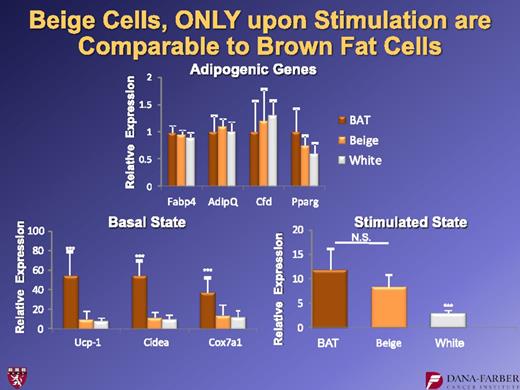FIG. 15. Molecular characteristics of beige adipocytes. Note that these cells have very low basal UCP1 mRNA expression, but induce it robustly upon cAMP stimulation. For further details, see ref. 16. BAT, brown adipose tissue. N.S., not significant. ***P < 0.05.