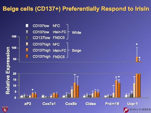 FIG. 18. Irisin functions preferentially on beige cells and does not cause a change in cell fate. hFC, human FC fragment of IgG. *P < 0.05.