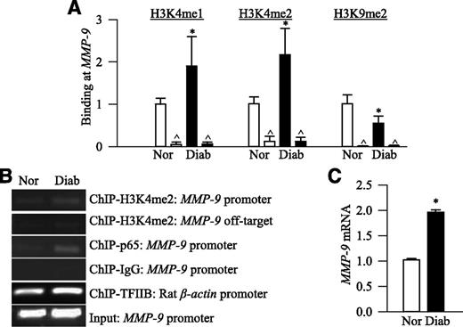 FIG. 1. Methylation of H3K4 and H3K9 at the MMP-9 promoter is altered in the retina of diabetic rats. A: H3K4me1, H3K4me2, and H3K9me2 at the MMP-9 promoter were determined using ChIP technique followed by SYBR green–based qPCR. Retinal chromatins were immunoprecipitated with antibodies against H3K4me1, H3K4me2, and H3K9me2, and the MMP-9 promoter region was amplified. The qPCR value in each immunoprecipitate was normalized to the Ct value from the input sample using the ddCt method. Rabbit IgG served as a negative antibody control (indicated as ^). B: The specificity of the ChIP assay was verified by semiquantitative PCR. Cross-linked retina was immunoprecipitated with H3K4me2 or p65, and the MMP-9 promoter occupied by H3K4me2 or p65, respectively, was amplified. DNA from the input (protein-DNA complex) was used as an internal control. For the ChIP assay, the positive controls were β-actin promoter occupied by TFIIB, and the negative controls included the MMP-9 promoter pulled down by normal rabbit IgG as negative antibody control and off-target region of MMP-9 (+1859 to +2232 bp region) occupied by H3K4me2 as off-target control. C: Gene expression of MMP-9 was quantified by Taqman-based qPCR and analyzed by ddCt method using β-actin as the housekeeping gene. Fold changes were calculated by setting the mean fraction of normal rats as 1. Values are represented as mean ± SD of five to seven rats in each group. *P < 0.05 compared with normal. Diab, diabetes; Nor, normal.