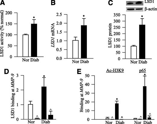 FIG. 2. Diabetes in rats activates retinal LSD1 and increases the recruitment of LSD1 and p65 at the promoter region of MMP-9. A: Enzyme activity of LSD1 was quantified in rat retinal nuclear fraction using a fluorescent assay kit. After the addition of Amplex red and peroxidase to the reaction mixture, the H2O2 produced was measured at 540-nm excitation and 600-nm emission wavelengths. Gene expression of LSD1 was quantified by qPCR (B), and its protein expression was quantified by Western blot technique (C). At the MMP-9 promoter, LSD1 binding (D) and acetyl H3K9 (Ac-H3K9) and p65 (E) were quantified by the ChIP technique using rabbit IgG as a negative antibody control (marked as ^). Each measurement was made in duplicate in six to seven rats per group. Values obtained from normal rats are considered as 100% or 1 and are presented as mean ± SD. *P < 0.05, compared with normal. Diab, diabetes; Nor, normal.