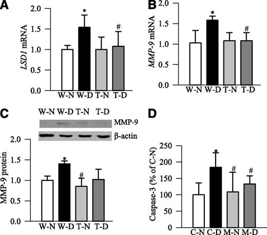 FIG. 3. Diabetic mice overexpressing MnSOD are protected from an increase in retinal LSD1 and MMP-9, and deletion of MMP-9 prevents diabetes-induced activation of retinal caspase-3. Gene transcripts of LSD1 (A) and MMP-9 (B) were quantified in the retina using TRIzol reagent. Gene expression was measured by SYBR green–based qPCR using ABI-7500 sequence detection system. Each sample was analyzed in triplicate, and the data were normalized to β-actin expression. Fold change relative to the age-matched WT normal mice was calculated using the ddCt method. C: MMP-9 protein expression was quantified by Western blot technique using β-actin as a loading control; the blot is representative of five to six mice in each group. D: Activity of caspase-3 was measured in the retinal homogenate from MMP-KO and control diabetic and nondiabetic mice spectrophotometrically by quantifying the formation of p-nitroaniline at 405 nm. Results are from five to eight mice in each group and are represented as mean ± SD. The values obtained from nondiabetic WT or control mice are adjusted to 1 or 100%. W-N and T-N, WT and MnSOD-Tg normal mice; W-D and T-D, WT and MnSOD-Tg diabetic mice; C-N and M-N, control and MMP-KO normal mice; C-D and M-D, control and MMP-KO diabetic mice. *P < 0.05, compared with WT-N or C-N; #P < 0.05, compared with WT-D or M-D.
