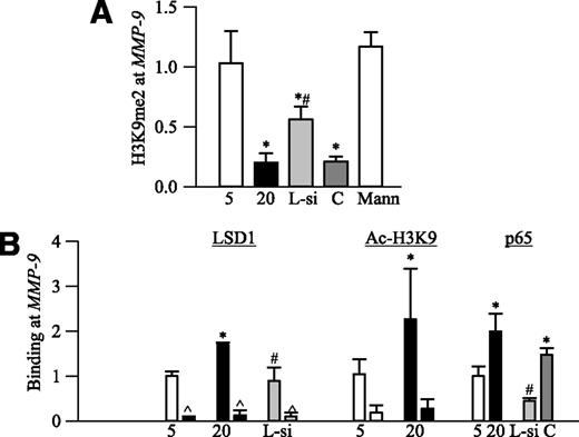 FIG. 4. Lysine 9 of histone 3 is modified and the recruitment of LSD1 and p65 at the MMP-9 promoter is increased in retinal endothelial cells exposed to high glucose. H3K9me2 (A), LSD1, acetyl H3K9, and p65 (B) at the promoter region of MMP-9 were quantified by the ChIP technique. Rabbit IgG was used as negative antibody control (indicated as ^). Fold change relative to the values from cells incubated in 5 mmol/L glucose was calculated by the ddCt method, and the values from 5 mmol/L glucose are considered as 1. Ac-H3K9, acetyl H3K9; IgG, ChIP with normal rabbit IgG; 5 and 20, cells incubated in 5 or 20 mmol/L glucose; L-si and C, cells transfected with LSD1 siRNA or scramble RNA, respectively, followed by incubation in 20 mmol/L glucose; Mann, cells incubated in 20 mmol/L mannitol. Data are represented as mean ± SD from four to six preparations in each group. *P < 0.05, compared with 5 mmol/L glucose; #P < 0.05, compared with 20 mmol/L glucose.