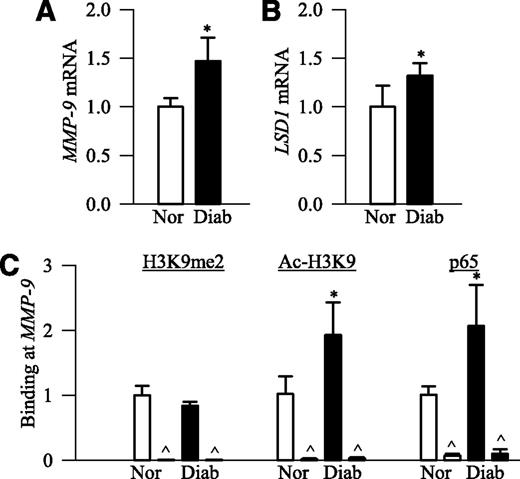 FIG. 7. Retinal MMP-9 is epigenetically modified in human donors with diabetic retinopathy. Retina from human donors with clinically documented diabetic retinopathy (Diab) and age-matched nondiabetic (Nor) donors were analyzed to quantify gene transcripts of MMP-9 (A) and LSD1 (B) by qPCR. C: Cross-linked retina was immunoprecipitated with anti-H3K9me2, acetyl (Ac)-H3K9, p65, or normal rabbit IgG, and the MMP-9 promoter region was amplified in the precipitated DNA by SYBR green–based qPCR. IgG served as a negative antibody control (indicated as ^), and Ct values were normalized with the values from input by ddCt method. Values from the retina of nondiabetic donors are adjusted to 1 and are represented as mean ± SD from four to six samples in each group. *P < 0.05, compared with the values in the retina from nondiabetic donors.