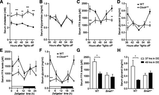 FIG. 1. Serum lipids change in ClockΔ19 mice. Diurnal profiles of cholesterol (A), TGs (B), FFAs (C), and glycerol (D) in the serum of wild-type (WT; closed circles) and ClockΔ19 (open circles) mice in DD (n = 3/time point). Time points indicate hours spent in DD after the last lights off. Diurnal profiles of FFAs (E) and glycerol (F) in the serum of wild-type (closed circles) and ClockΔ19 (open circles) mice in LD conditions (n = 3–5/time point). Time-of-day dependent variations in serum FFA and glycerol levels in WT (black bars) and Bmal1−/− (white bars) animals kept in DD (n = 3–5/time point). All data are shown as means ± SEM. *P < 0.05; **P < 0.01; ***P < 0.001 by two-way ANOVA with Bonferroni posttest.