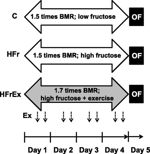 FIG. 1. Experimental design of the study: Ex, exercise; OF, oral fructose test.
