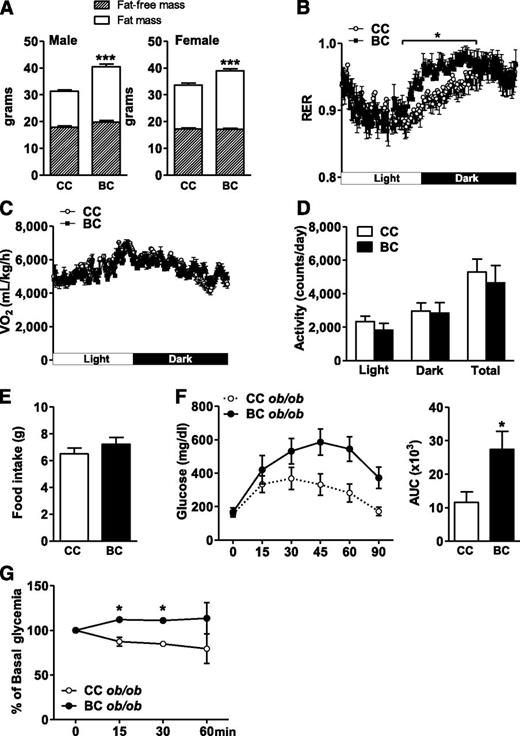 FIG. 1. BALB.2BCob/ob mice displayed increased obesity susceptibility associated with altered glucose clearance and increased fatty acid oxidation. A: Body composition (fat mass and fat-free mass) were analyzed in leptin-deficient BALB.2CC and BALB.2BC males and females at age 2 months (n = 7–10). Respiratory exchange ratios (RER; B), oxygen consumption normalized to fat-free mass (C), spontaneous locomotor activity (D), and daily food intake (E) were determined during light and dark cycles in BALB.2CC and BALB.2BCob/ob mice with free access to chow diet (n = 4). F: Glucose tolerance test (GTT) was performed by measuring blood glucose concentration after an overnight fast at the indicated times after intraperitoneal injection of glucose (1 mg/g body weight) in BALB.2CC and BALB.2BC ob/ob mice and the glucose area under the curve (AUC) was calculated (n = 4). G: Insulin tolerance test was performed after 6 h of fast with 3 U/kg insulin in BALB.2CC and BALB.2BCob/ob mice (n = 4). Glucose concentration is expressed as % of basal glycemia. Data are expressed as average ± SEM. Unpaired t tests (A, D, E, F) and two-way ANOVA tests (B, C) were performed. *P < 0.05. ***P < 0.0005.