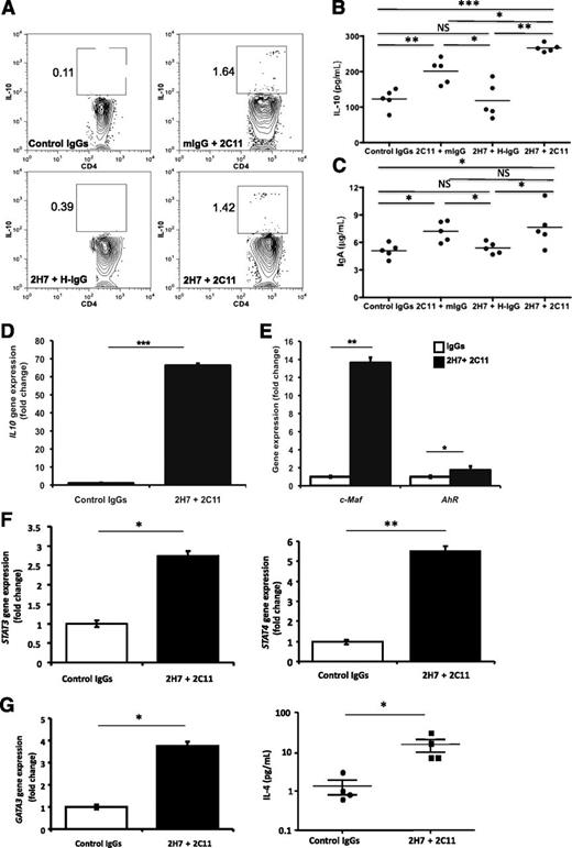 FIG. 5. Anti-hCD20/oral anti-CD3 combined treatment induces IL-10–producing CD4+ T cells. A: hCD20/NOD mice were treated with anti-hCD20/oral anti-CD3 or control mouse IgG/hamster IgG. Peyer's patches were collected. IL-10 production was detected by intracellular cytokine staining. B: Sera were collected from hCD20/NOD mice 15 days after anti-hCD20/oral anti-CD3 or control IgG treatment, and IL-10 levels in sera were detected by ELISA. C: IgA levels in sera were detected by ELISA. D: CD4+ T cells were sorted from Peyer's patches of mice treated with anti-hCD20/oral anti-CD3 or control IgGs and IL10 transcripts were detected by qPCR in purified CD4 T cells. E: c-Maf and AhR mRNA were detected in purified CD4 T cells from Peyer's patches by qPCR. F: Transcription factors STAT3 and STAT4 mRNA were detected in purified CD4 T cells from Peyer's patches by qPCR. G: GATA3 mRNA was detected in purified CD4 T cells in Peyer's patches by qPCR, and IL-4 protein levels in sera were detected by ELISA. The statistical analysis was performed with Student t test. *P < 0.05; **P < 0.001; ***P < 0.0001. 2C11, oral anti-CD3; 2H7, anti-hCD20; H-IgG, hamster IgG; mIgG, mouse IgG; NS, not significant.